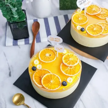 Túi 200g Cam Sấy Chanh Sấy Khô Trang Trí Tiệc Bánh Sinh Nhật Giá Cực Sốt 65k 1