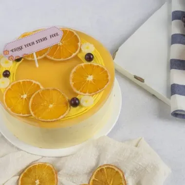 Túi 200g Cam Sấy Chanh Sấy Khô Trang Trí Tiệc Bánh Sinh Nhật Giá Cực Sốt 65k 4