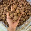 Vải Thiều Sấy Khô Tự Nhiên 1Kg Giá Rẻ - Giảm 40k còn 145k 4
