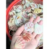 Vỏ Sò Kim Cương Trang Trí Vẽ Tranh Thủ Công - Giảm 21% Chỉ 17000đ/Lúc