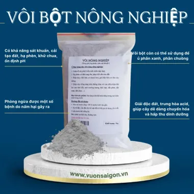 Vôi bột sát khuẩn cải tạo đất trồng 1kg - Khử độc, tăng độ pH, giá chỉ 13800đ 4 Vôi bột sát khuẩn cải tạo đất trồng 1kg - Khử độc, tăng độ pH, giá chỉ 13800đ 4