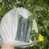 Bánh Tráng Phơi Sương Củ Chi Loại A Mềm Dẻo 500g Giá Rẻ 39k - Tuyển Sỉ