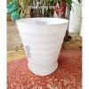 Chậu Tròn Màu Trắng 32cm - Giá Siêu Khuyến Mãi Chỉ 30k Thay 38400 VND