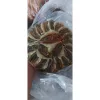 Khô Cá Chỉ Vàng Mặn Ngọt 1kg - Giá Shock Chỉ 38.000đ Thay Vì 48.260đ