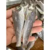 Khô Cá Đù Cà Mau Chiên Giòn Ngọt Dịu - Tú Sương Giá 49K