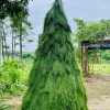 Lá Thông Tươi Trang Trí Noel 10kg - Tươi Xanh 15 Ngày - Giảm Giá 168000đ