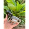 Nắp bình giữ nhiệt inox 316 cao cấp SYUA SY042 - Giảm 21% còn 45000đ