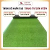 Thảm Cỏ Nhựa Nhân Tạo 2cm Cao Cấp Trang Trí Tường Nhà Quán Cà Phê Nhà Hàng Tiệc Cưới ( CỎ 2CM 5-5)