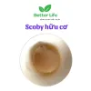 Con Giống Scoby Hữu Cơ Làm Trà Kombucha Kèm Nước Mồi Giảm 20% Chỉ 20000đ