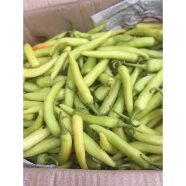 Ớt sừng vàng Huế 1kg - Giảm giá còn 109000đ, Ớt sừng ngon, tươi, chất lượng cao Ớt sừng vàng Huế 1kg - Giảm giá còn 109000đ, Ớt sừng ngon, tươi, chất lượng cao