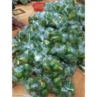10 cái bánh xu xuê(chỉ giao hỏa tốc) 3 10 cái bánh xu xuê(chỉ giao hỏa tốc) 3