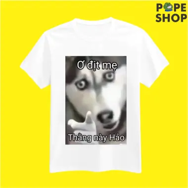 Áo Trend MeMe Hài Hước Bựa Nam Nữ Unisex, Áo hình pepe shop hài hước cute theo yêu cầu 13