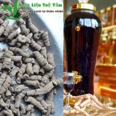 Ba Kích Tím Quảng Ninh 200g - Khô Cao Cấp, Giá Tốt 100.000đ, Giảm 20% 1 Ba Kích Tím Quảng Ninh 200g - Khô Cao Cấp, Giá Tốt 100.000đ, Giảm 20% 1