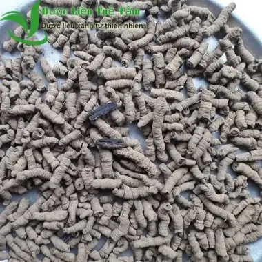 Ba Kích Tím Quảng Ninh 200g - Khô Cao Cấp, Giá Tốt 100.000đ, Giảm 20% 5 Ba Kích Tím Quảng Ninh 200g - Khô Cao Cấp, Giá Tốt 100.000đ, Giảm 20% 5