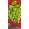 Bánh Phu Thê Dừa Nhất Vy 65gr 50 Cái HCM - Giảm 108.750đ Còn 375.000đ 5