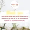 Bình giữ nhiệt, Ca đựng nước đá có quai xách BeCool cao cấp dung tích 1L, 1.5L, 2L Chấn Thuận Thành 10