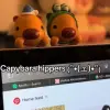 Blind Box Capybara - Túi Mù Mô Hình Thú Mini Ngẫu Nhiên Trang Trí Điện Thoại Ngẫu Nhiên May Mắn | Mido 8