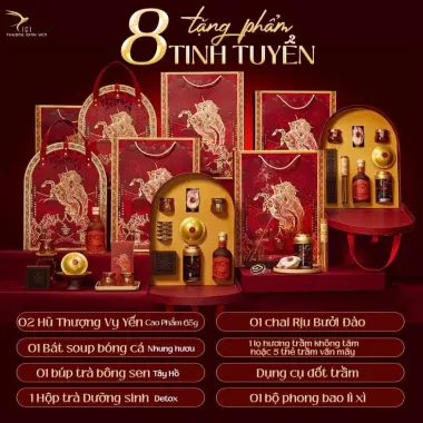 Bộ Quà Tết Cao Cấp Kim Mã Cát Tường Giảm Giá - CiCi Thượng Đỉnh Yến Chỉ 1.320.000đ 3