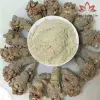 Bột Tam Thất Bắc SAPA Chính Hãng - Củ To Thơm Chuẩn, Giá Tốt 75k 8