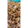 Cá Bò Rim Siêu Cay L'AMER FOOD - Đặc Sản Đà Nẵng - Giảm Giá Còn 94.000Đ 3