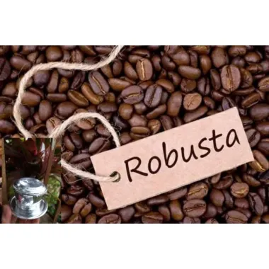 Cà Phê Robusta Nguyên Chất Ban Mê Thuột 500g - Giá Rẻ 111.999đ 1 Cà Phê Robusta Nguyên Chất Ban Mê Thuột 500g - Giá Rẻ 111.999đ 1