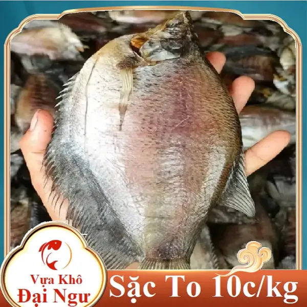 Hình ảnh sản phẩm Cá Sặc Rằn 10 Con/Kg Vựa Khô Đại Ngư - Giá Rẻ 194.040Đ Chỉ Từ 248.371Đ