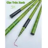Cần Câu Tay 3H Trúc Xanh Giá Rẻ Chỉ 34999Đ - Đủ Size Gahagv555 Cất Câu