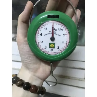 Cân Nhơn Hòa Mini 5kg Giá Rẻ - Cân Treo Móc Túi 5kg Chiết Khấu 22% Chỉ 75,000đ 3