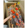 Cành Hồng Giả 7 Quả Dài 92cm Giá Rẻ Chỉ 18.000đ - Cành Quả Mốc Trang Trí 4