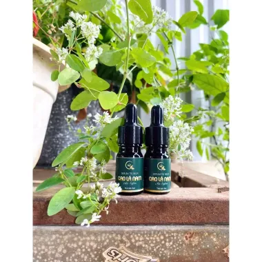 Cao Lá Nam Trị Mụn Tận Gốc - Giá Chỉ 32.500Đ - Dưỡng Da Sạch Mụn 1
