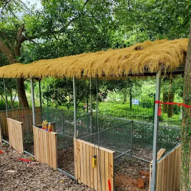 Cỏ Rơm Vàng Nhân Tạo Lợp Mái Giá Rẻ - Tối Ưu Không Gian Thiên Nhiên 110k 6 Cỏ Rơm Vàng Nhân Tạo Lợp Mái Giá Rẻ - Tối Ưu Không Gian Thiên Nhiên 110k 6