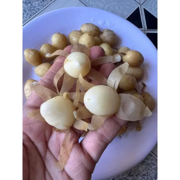 Hình ảnh sản phẩm Củ Lùn Miền Tây Đặc Sản - Củ Bột Bùi, Bổ Lành, Giá Chỉ 35k/1kg