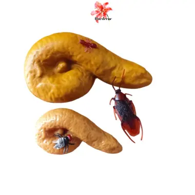 Cục Phân Giả Trang Trí Halloween Tặng Kèm Quà Ái Hớn - Gián, Ruồi, Kiến - Giá Shock 15500đ 2 Cục Phân Giả Trang Trí Halloween Tặng Kèm Quà Ái Hớn - Gián, Ruồi, Kiến - Giá Shock 15500đ 2