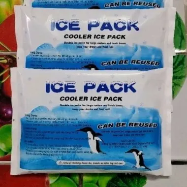 Đá khô đá gel bảo quản lạnh 300g 500g - Giảm giá còn 4000đ 5 Đá khô đá gel bảo quản lạnh 300g 500g - Giảm giá còn 4000đ 5