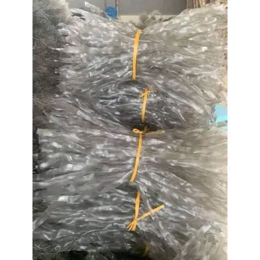 Đặc sản Miến dong Điện Biên thái tay Sùng Bầu size to nhỏ 1kg 2kg 5kg giá rẻ chỉ 90k 9 Đặc sản Miến dong Điện Biên thái tay Sùng Bầu size to nhỏ 1kg 2kg 5kg giá rẻ chỉ 90k 9