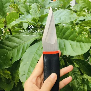 Dao Ghép Cành Cán Cao Su 205mm Chất Lượng Cao Giảm Giá 119k 3 Dao Ghép Cành Cán Cao Su 205mm Chất Lượng Cao Giảm Giá 119k 3