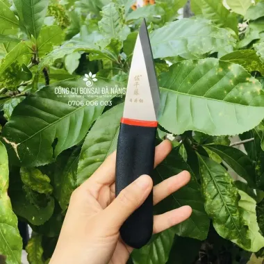 Dao Ghép Cành Cán Cao Su 205mm Chất Lượng Cao Giảm Giá 119k 5 Dao Ghép Cành Cán Cao Su 205mm Chất Lượng Cao Giảm Giá 119k 5