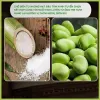 DK FOOD Đậu Tằm Rang Muối Tách Vỏ - Hạt Vàng Không chất tạo màu - GIÒN TAN, BÙI BÉO, NGON KHÓ CƯỠNG - Hộp 100g
