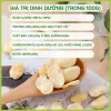 DK FOOD Đậu Tằm Rang Muối Tách Vỏ - Hạt Vàng Không chất tạo màu - GIÒN TAN, BÙI BÉO, NGON KHÓ CƯỠNG - Hộp 100g 3