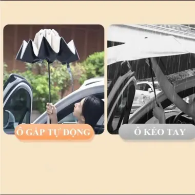 Dù Ô Tô Tự Động 2 Chiều - Che Mưa Nắng Cao Cấp - Giá Chỉ 155k 4 Dù Ô Tô Tự Động 2 Chiều - Che Mưa Nắng Cao Cấp - Giá Chỉ 155k 4
