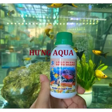 Dung Dịch Khử Nước Hồ Cá An Toàn - Giảm Sóc Nước Cho Cá, Giá Chỉ 12000đ 5 Dung Dịch Khử Nước Hồ Cá An Toàn - Giảm Sóc Nước Cho Cá, Giá Chỉ 12000đ 5