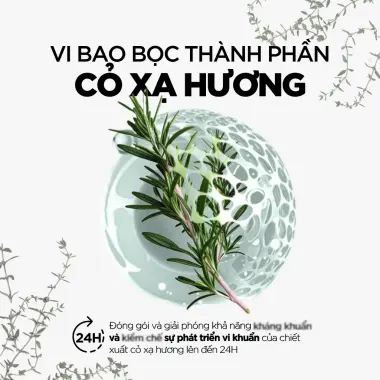 Dung Dịch Vệ Sinh Rogé Cavaillès Giảm Viêm Nhiễm, Ngứa, Khử Mùi Chỉ 129k