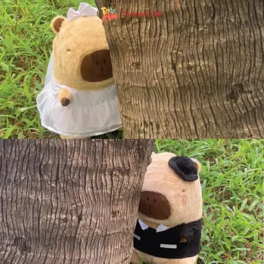GẤU BÔNG CAPYBARA CẶP ĐÔI XINH YÊU GIÁ CỰC SỐC CHỈ 149K 5 GẤU BÔNG CAPYBARA CẶP ĐÔI XINH YÊU GIÁ CỰC SỐC CHỈ 149K 5