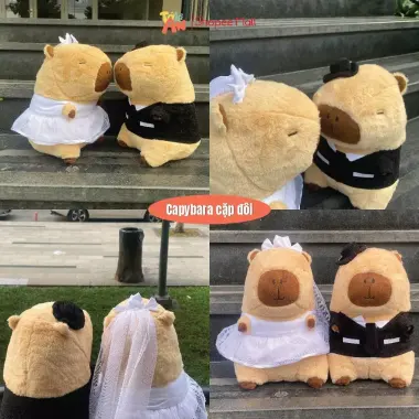 GẤU BÔNG CAPYBARA CẶP ĐÔI XINH YÊU GIÁ CỰC SỐC CHỈ 149K 6 GẤU BÔNG CAPYBARA CẶP ĐÔI XINH YÊU GIÁ CỰC SỐC CHỈ 149K 6