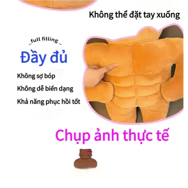 Gấu Bông Mèo Cơ Bắp Dễ Thương 50cm Gối Ôm Nhồi Bông Rẻ Bất Ngờ Chỉ 85500₫ 6 Gấu Bông Mèo Cơ Bắp Dễ Thương 50cm Gối Ôm Nhồi Bông Rẻ Bất Ngờ Chỉ 85500₫ 6