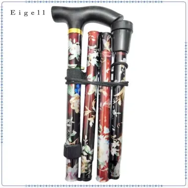 Gậy Đi Bộ Gấp Ba Lan Eigall Trekking - Nordic Walking Giá Rẻ 148.500đ