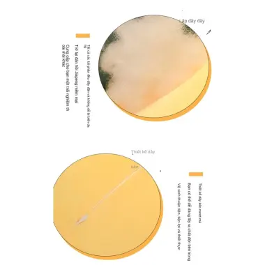 Gối Bông Gà Vàng Xinh Đón Giảm 22% - Gà Nhàu Mèo Dễ Thương Quà Tặng Yêu 9