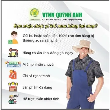 Hạt Giống Cải Mèo Hà Giang Cao Sản 10gr - Giá Rẻ 10.000đ - Mua Ngay Hôm Nay 3