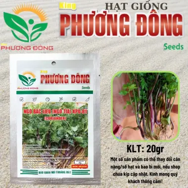 Hạt giống Ngò Bạc Liêu 20gr - Ngò Tía dễ trồng, kháng bệnh tốt quanh năm giá rẻ 2 Hạt giống Ngò Bạc Liêu 20gr - Ngò Tía dễ trồng, kháng bệnh tốt quanh năm giá rẻ 2