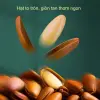 Hạt Thông Đông Bắc Mới, Cao Cấp, Hạt Thông Lớn Mở, Hương Vị Gốc, Hạt Thông Đỏ Bóc Tay, Hạt Snack 3